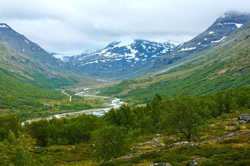 Fototapeta na wymiar Summer mountain (Norway)