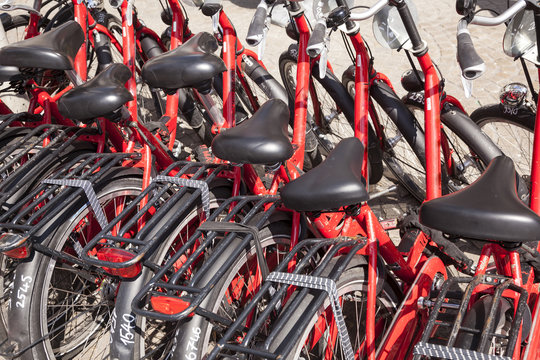 red rental bicycles in amsterdam
