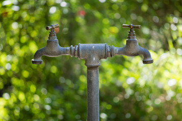 Two symmetrical taps in a garden/ greenery.