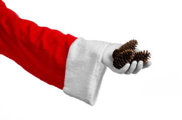 Santa holding a fir cone in his hand on a white background