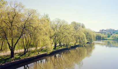 River and Trees