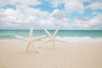 Fototapeta na wymiar white starfish on white sand beach, with ocean sky and seascape