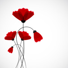 Abstract nature background. Red poppy flowers.