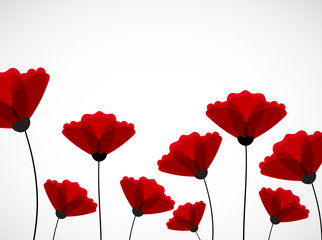 Abstract nature background. Red poppy flowers.