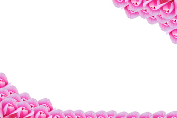 рамка из розовый тюльпанов