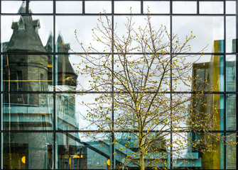 Fototapeta premium modern office building exterior with many windows, and trees
