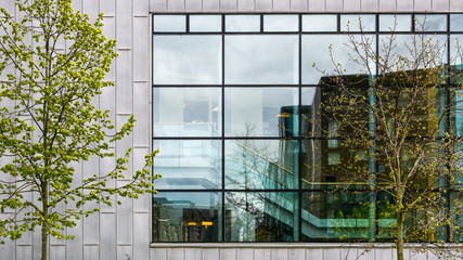 modern office building exterior with many windows, and trees