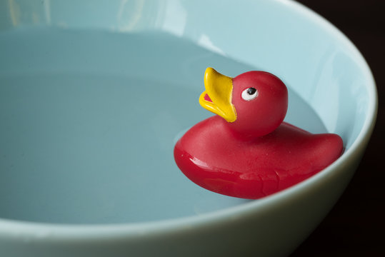 Rubber Duck Toy Floating In Bowl Full Of Water