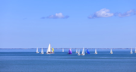 Fototapeta premium Voiliers