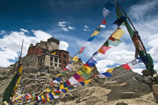 India, Ladakh, Leh, Namgyal tsemo gompa and prayer flags
