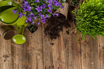 Outdoor gardening tools and herbs