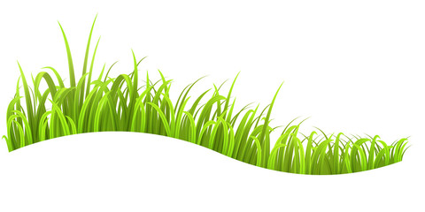 Grass wave isolated on white background
