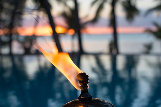 West Indies, Bahamas, Fire And Palm Trees
