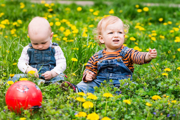 Two cute baby boys on a lawn with dandelions
