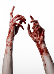 bloody hands killer zombie isolated on white background