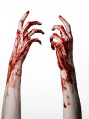 bloody hands killer zombie isolated on white background