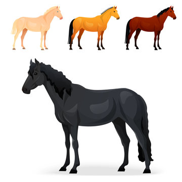 Set of realistic horse with different coats.
