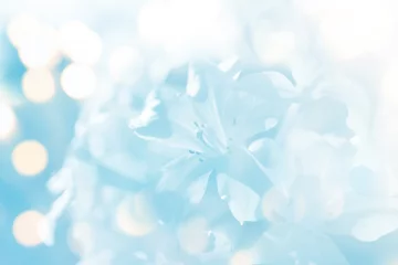 Poster de jardin Fleurs soft blur flower in blue tone