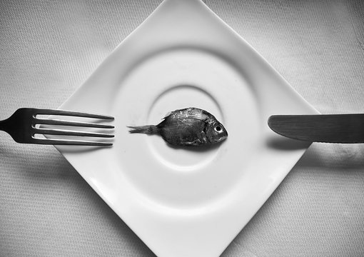 Overhead view of fish on plate
