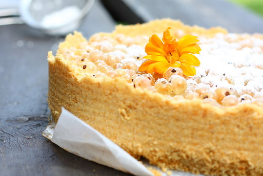 White currant rustic tart