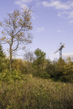 USA, Illinois, DuPage County, Downers Grove, Harbinger of new