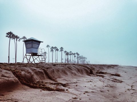 Lifeguard tower on a sandy beach in front of a row of palm trees, Santa Barbara, California, USA