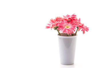 Pink gerbera flower