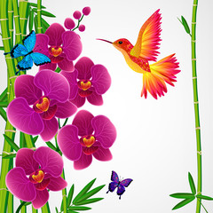 Floral design background. Orchid flowers with bird, butterflies.