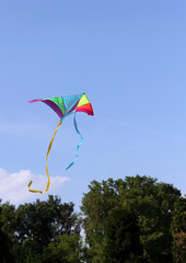 kite flies high in the sky blue