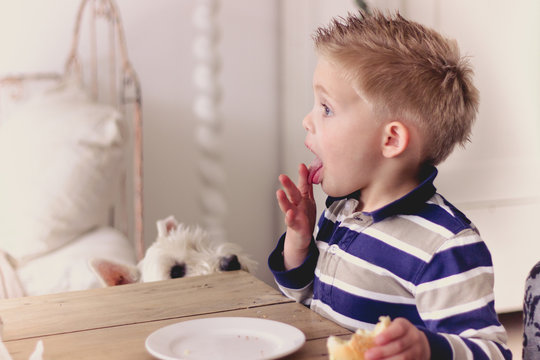 Netherlands, Boy (4-5) Eating Sandwich