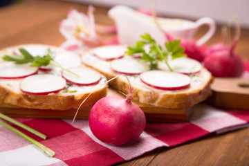 sandwich with radish