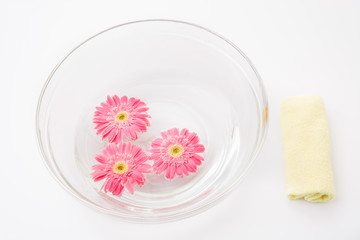 Obraz na płótnie Canvas Pink gerbera flower