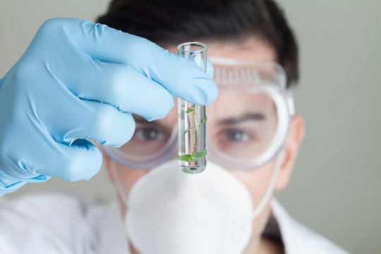 Scientist looking at plant sample in test tube