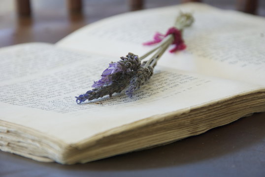 Lavender on old book