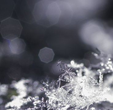 Close up of snowflakes