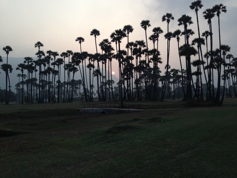 India, Andhra Pradesh, Sunset