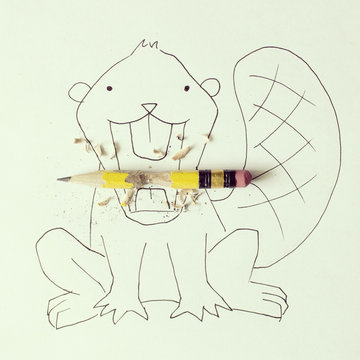 Conceptual Beaver Eating Pencil