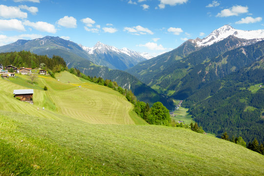 Heuernte in den Bergen
