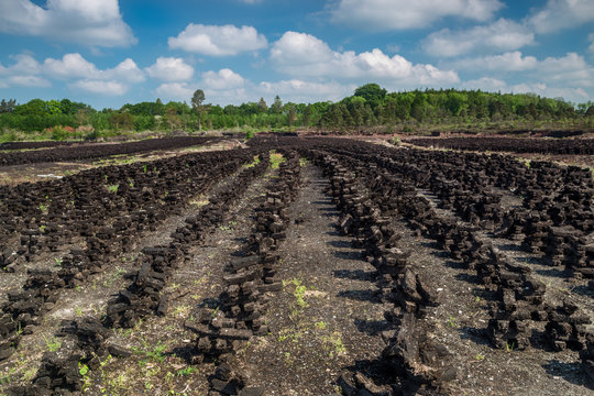 Ireland, County Offaly, Doon, Turf drying in summer sun