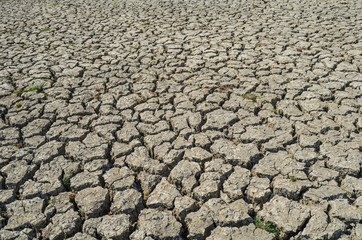 Drought parched soil