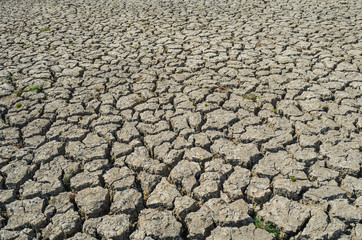 Drought parched soil
