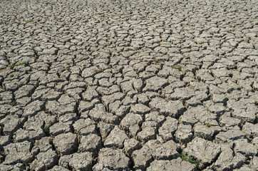 Drought parched soil