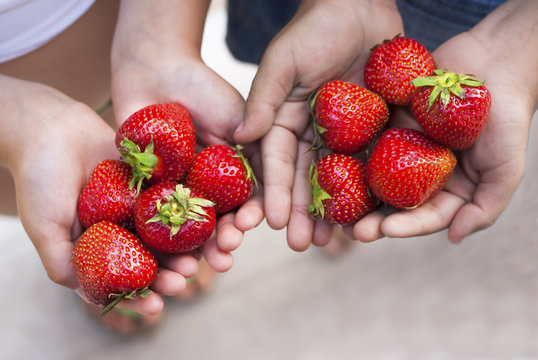 Two children holding strawberries in their hands
