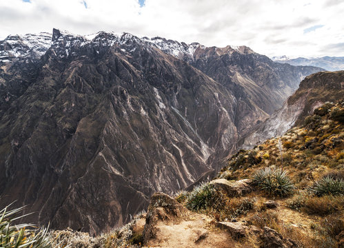 Colca Canyon, Arequipa, Peru