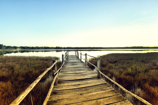 Mexico, Coba, Wooden jetty on lake