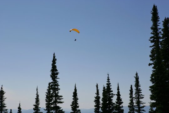 Distant Paraglider flying above the treetops and mountains, Wyoming, USA