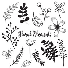 Hand drawn flowers and foliage elements
