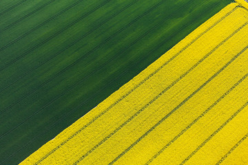 aerial view of harvest fields