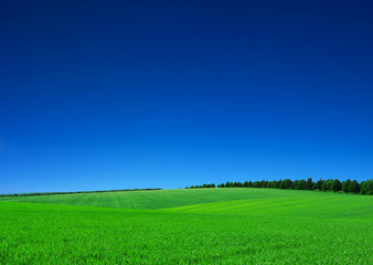 green field