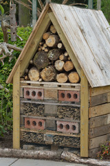 Habitat  for useful garden insects